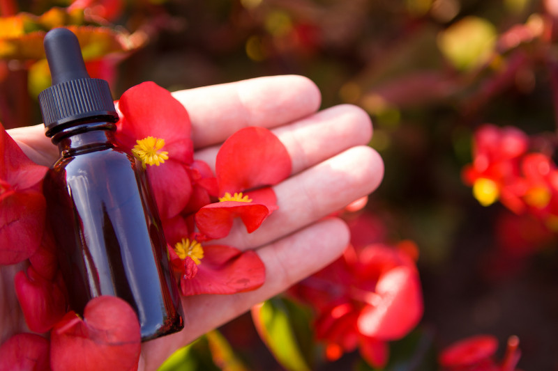 דרך הפרחים - התועלות הרבות של תמציות פרחי באך לחיים היומיומיים